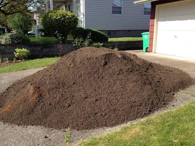 What Can I Do in My Garden This Time of Year?