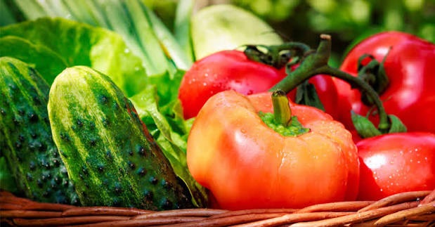 How to Start a Vegetable&nbsp;Garden